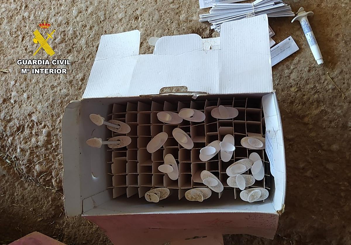 Material intervenido por la Guardia Civil en la 'Operación Henus'