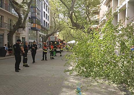 Imagen secundaria 1 - Efectivos de la Policía Local y los bomberos. 