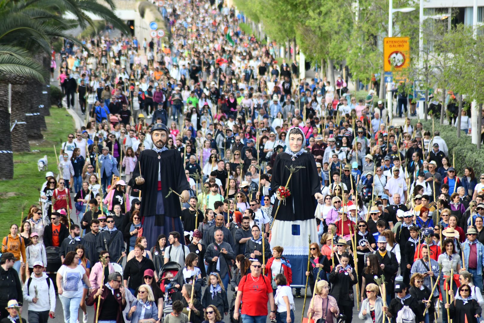 Búscate en las imágenes de la romería de la Santa Faz