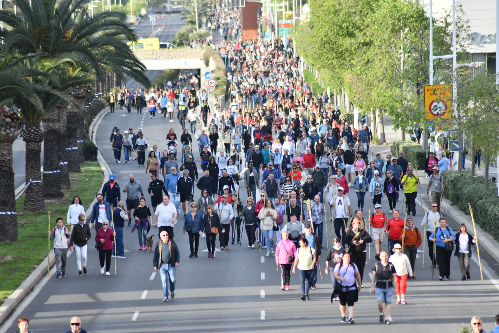 Búscate en las imágenes de la romería de la Santa Faz