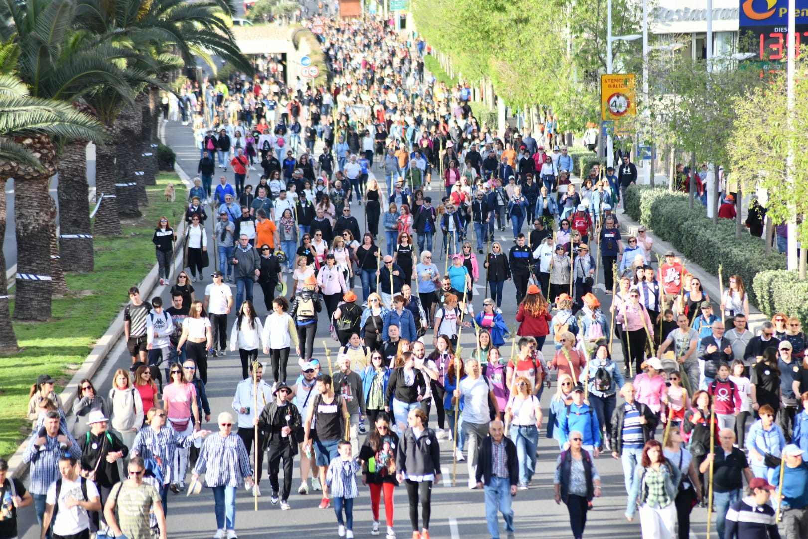 Búscate en las imágenes de la romería de la Santa Faz