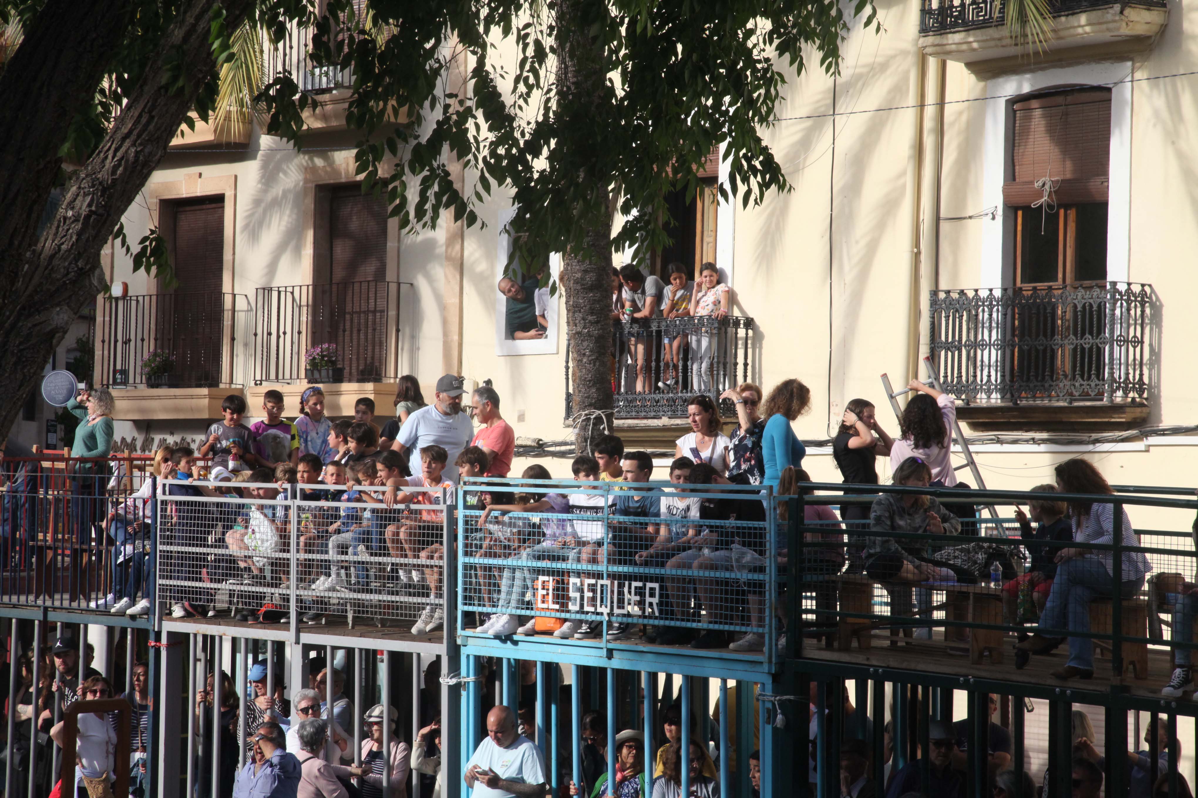 Xàbia celebra sus bous al carrer