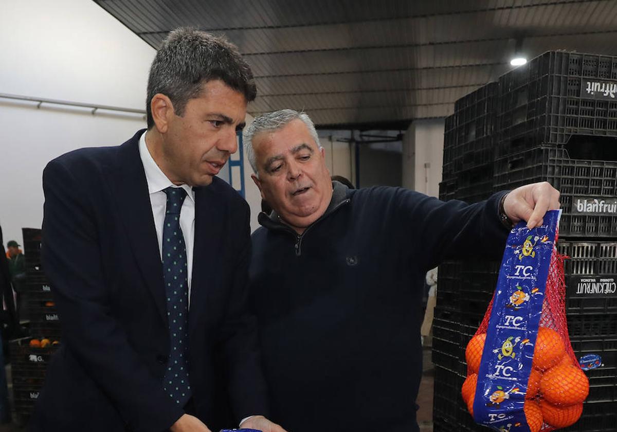 El presidente de la Diputación, Carlos Mazón, con los productores de cítricos.