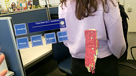 El modelo simula la columna de forma virtual.