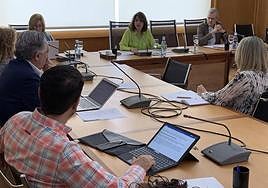 La rectora, Amaro Navarro, durante el Consejo de Gobierno de la Universidad de Alicante.