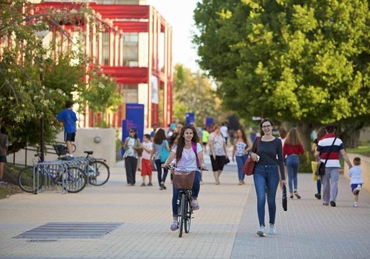 Imagen principal - Campus de la Universidad de Alicante