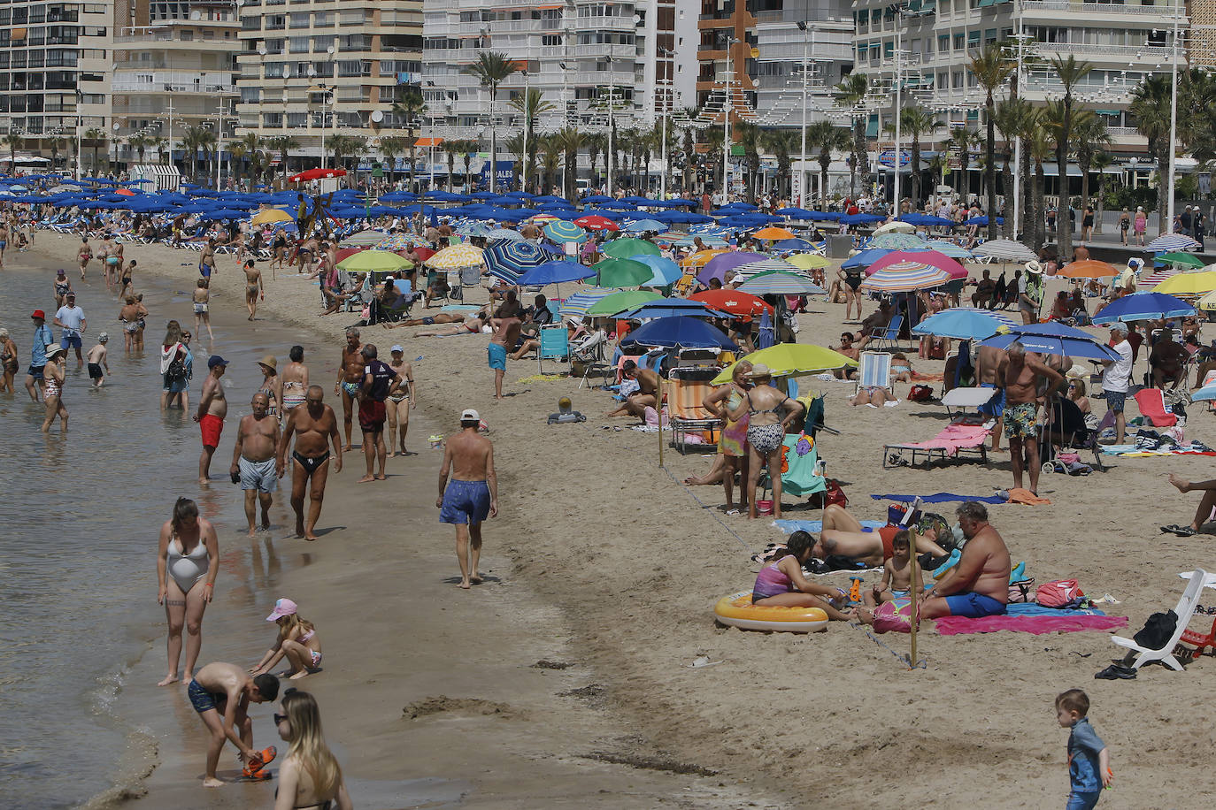 Bañistas en la playa de Benidorm.