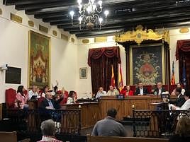 Votación en el pleno del Ayuntamiento de Elche