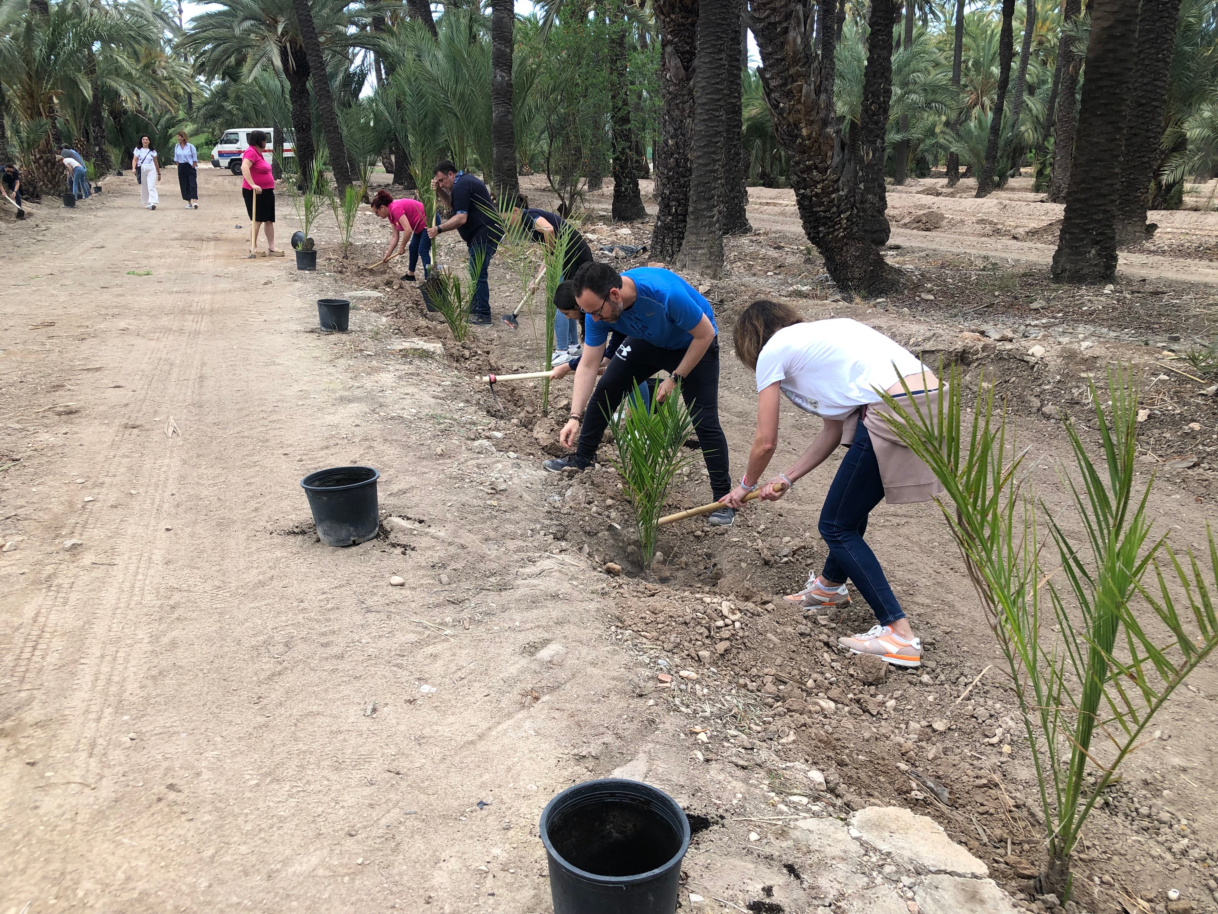 Un momento de la plantación