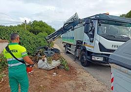 Recogida de restos de poda de palmeras.