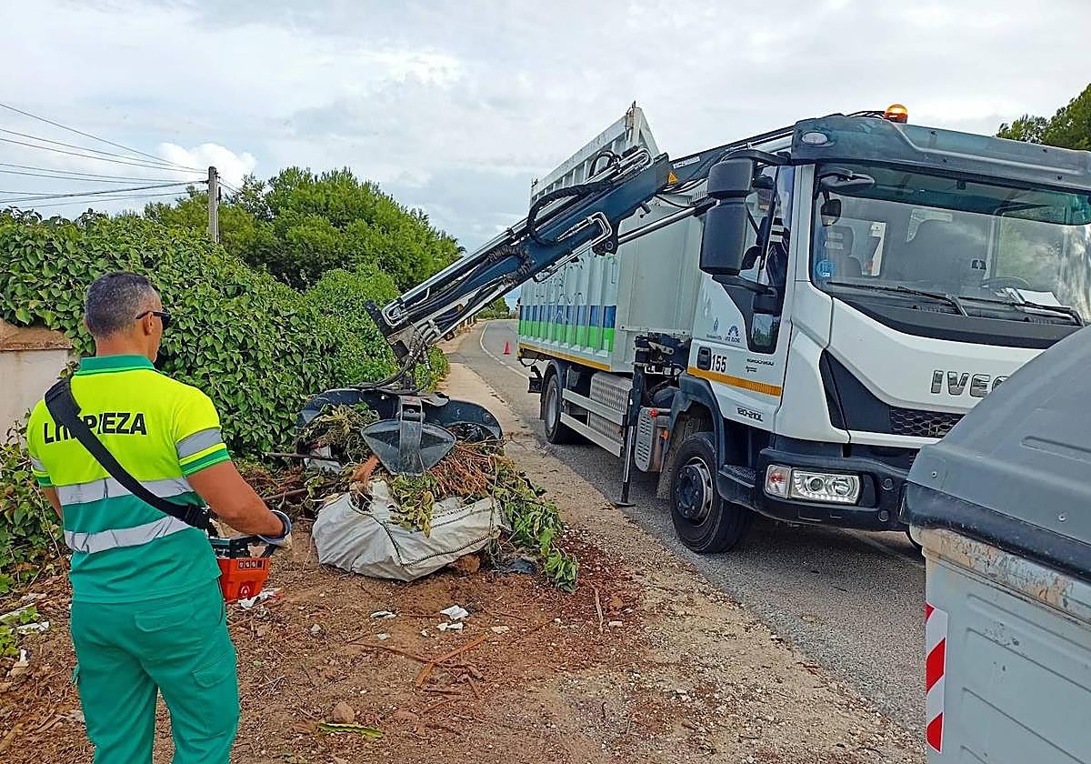 Recogida de restos de poda de palmeras.