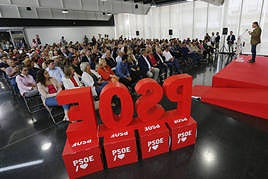 Mitin de Ximo Puig en Elche.