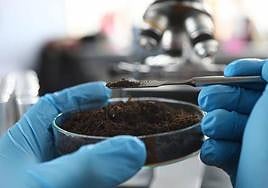 AITEX analiza la biodegradabilidad y compostabilidad gracias a su certificación sostenible