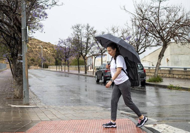 Una mujer pasea con paraguas por Alicante