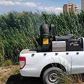 El Campello se pone en pie de guerra contra el mosquito tigre