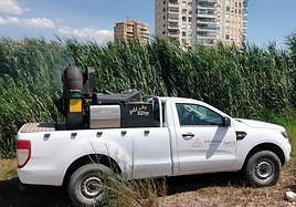 Fumigan varias zonas de El Campello para frenar el incremento de mosquito tigre.