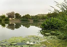 Laguna del parque El Recorral