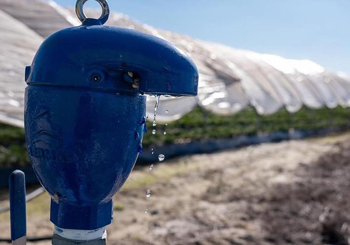 Grifo con agua en un cultivo en una situación complicada de sequía