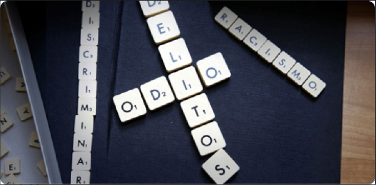 El curso forma parte del programa veraniego Rafael Altamira de la UA.