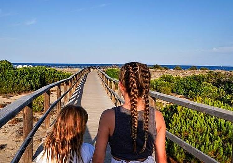 Imagen principal - Playa de Arenales del Sol | Playa del Carabassí | La Marina Resort Parque Acuático