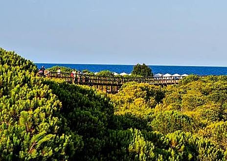 Imagen secundaria 1 - Playa de Arenales del Sol | Playa del Carabassí | La Marina Resort Parque Acuático