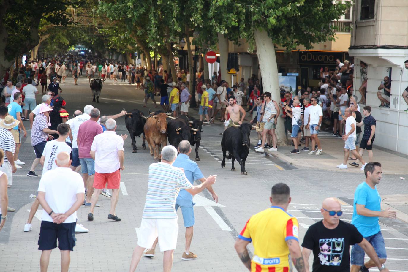 Dénia ya está en fiestas