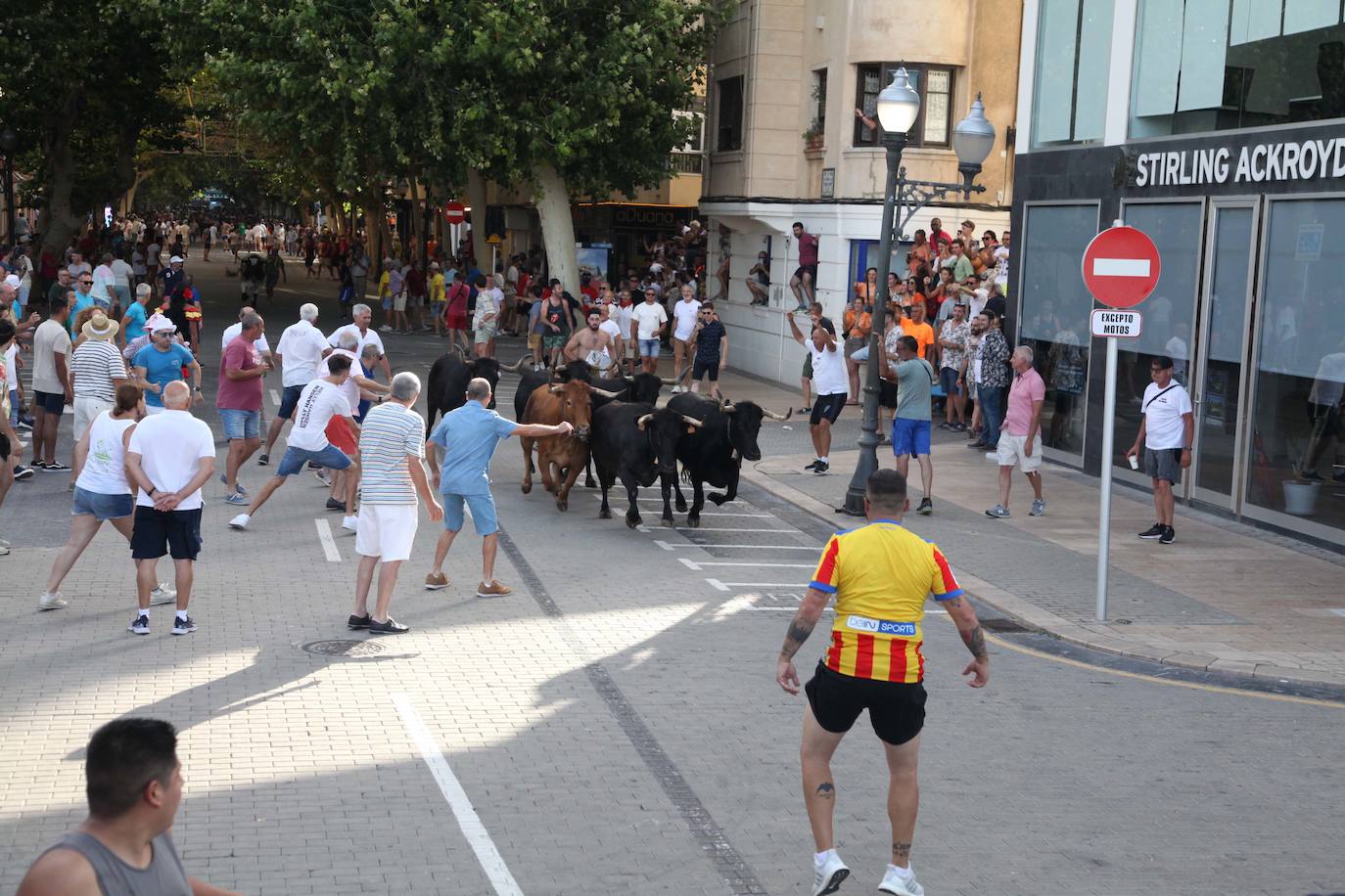Dénia ya está en fiestas
