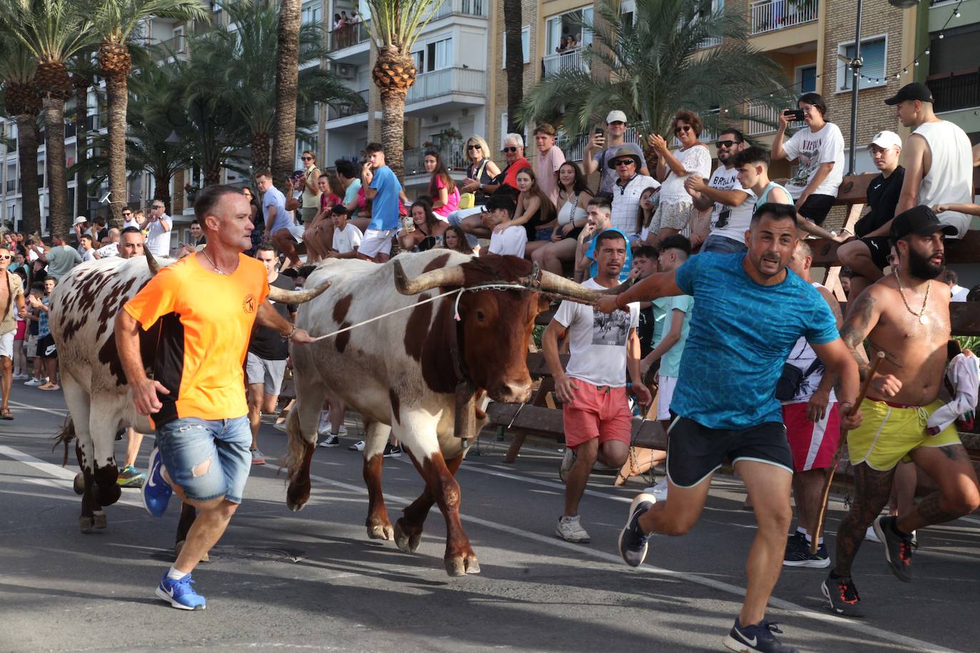 Dénia ya está en fiestas