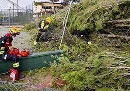 Actuación de los bomberos en el polideportivo de Villena.