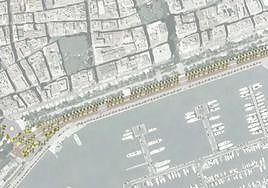 Cartografía del paseo Mártires de la Libertad con los nuevos árboles.