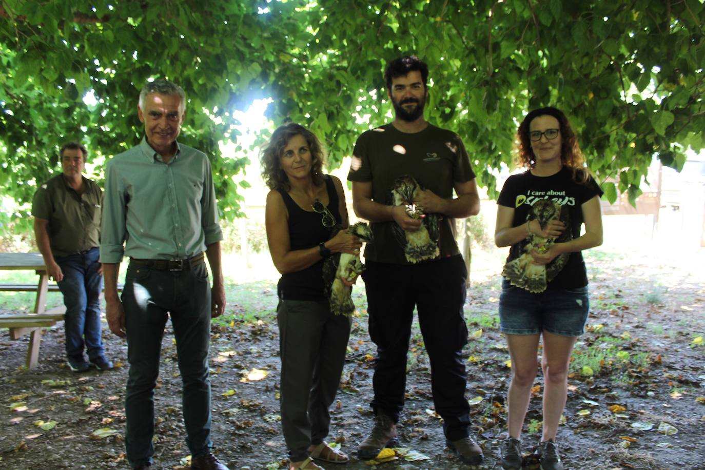 Imagen secundaria 1 - El águila pescadora vuelve a surcar la Marjal de Pego