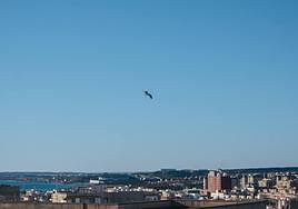 Cielo despejado en Alicante.