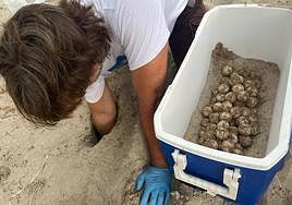 El Servicio Ambiental Marino y de Pesca del Ayuntamiento de Denia inició el protocolo