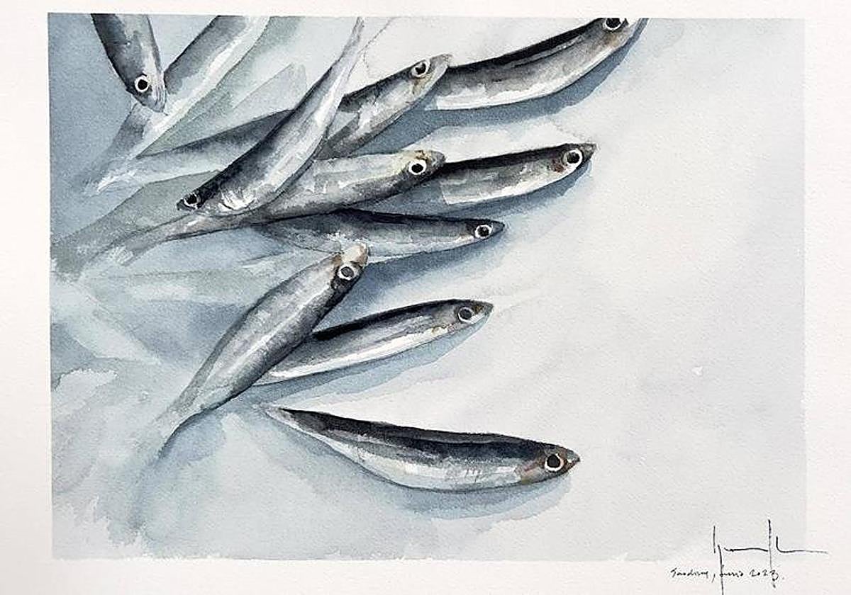 La diversidad marina es uno de los motivos de Nacho Muñoz Cano.