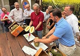 Tradicional corte del melón de Carrizales.