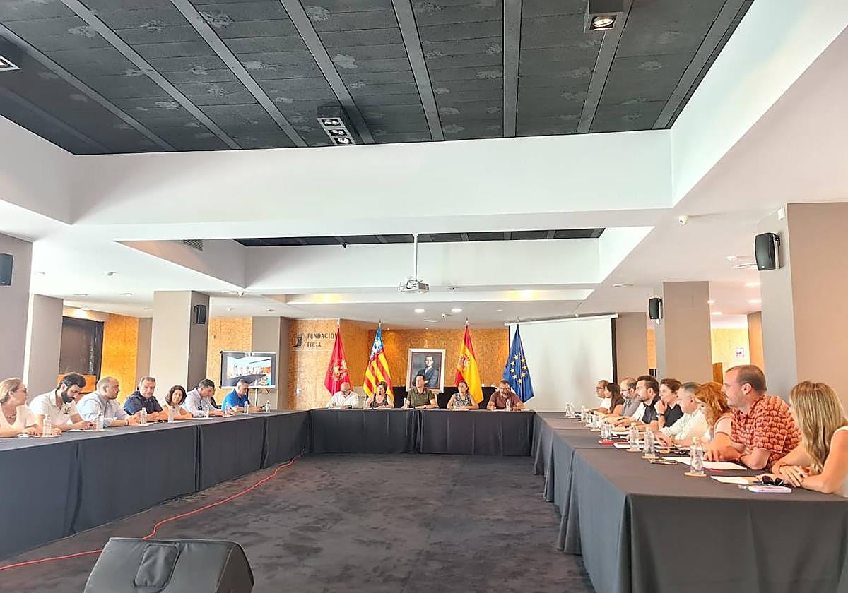 Pleno municipal de Elda.