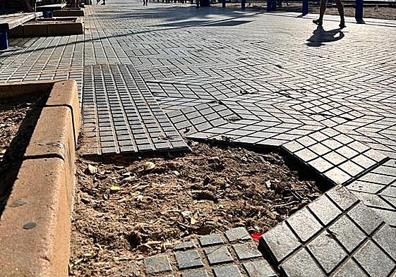 Un trozo de pavimento levantado en el paseo de la playa del Postiguet