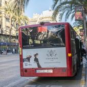 Las nuevas líneas triunfan en Alicante y el bus urbano gana dos millones de usuarios