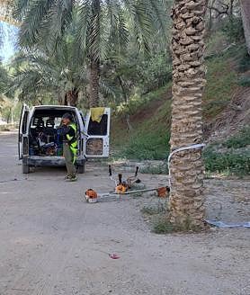 Imagen secundaria 2 - Tareas de desbroce en la ladera del río Vinalopó. 