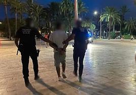 Intervenciones de la policía local de Elche durante las fiestas