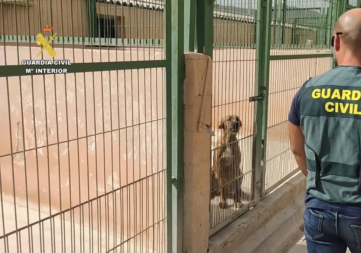 Guardia Civil con un perro perdido