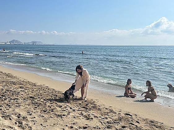 El consistorio alicantino destaca la «gran aceptación» que está teniendo el servicio.