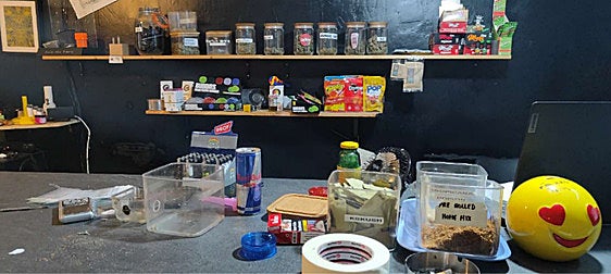 Parte del material incautado tras el registro del local.