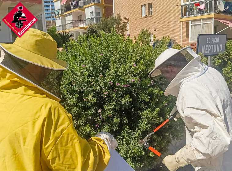Labores de retirada a cargo de los bomberos.