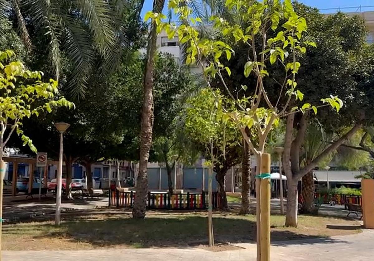 La plaza dels Algeps con la nueva morera instalada.