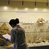 El MUPE recibe una subvención de más de 5.000 euros