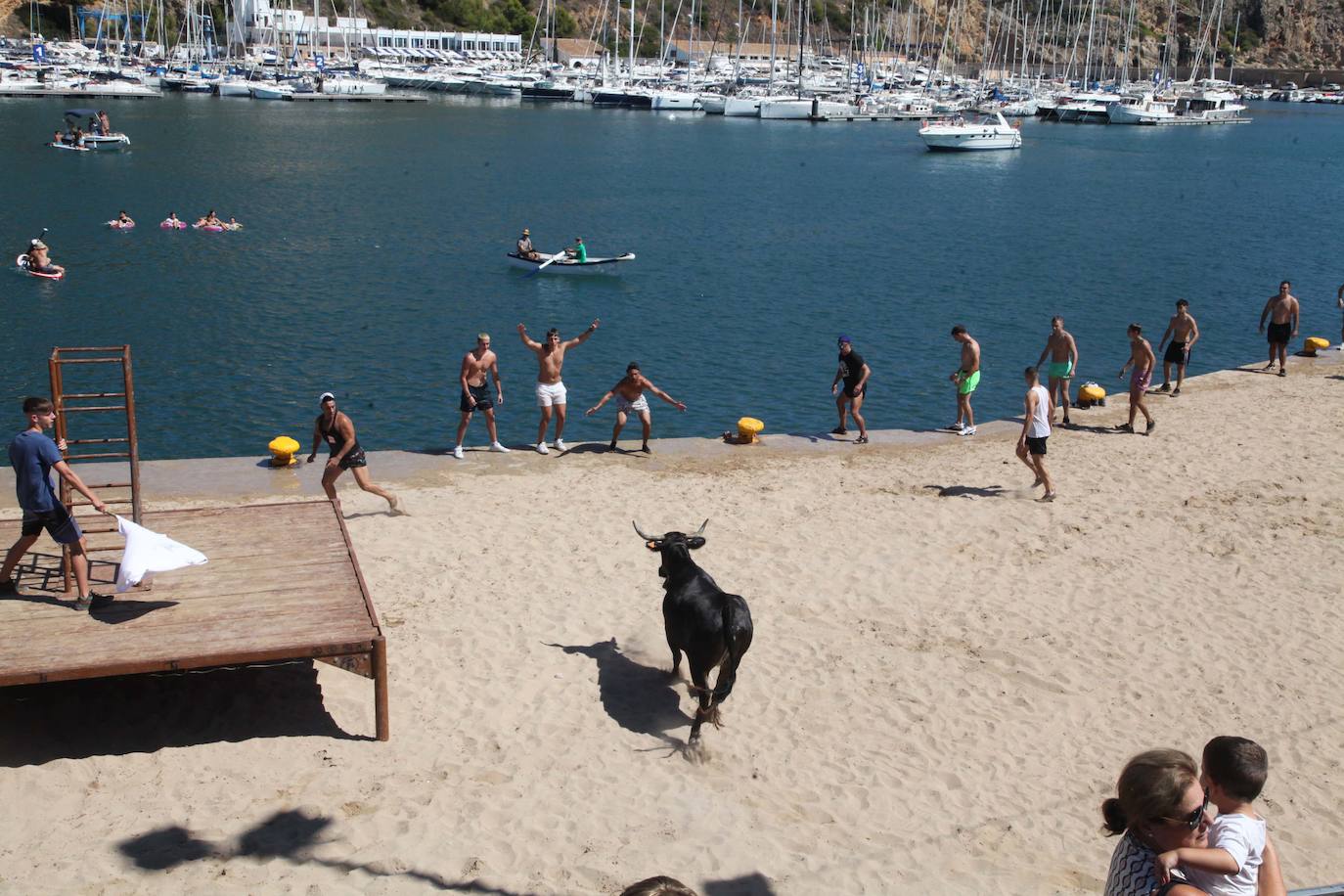 Primer día de Baret y Bous a la Mar en Xàbia