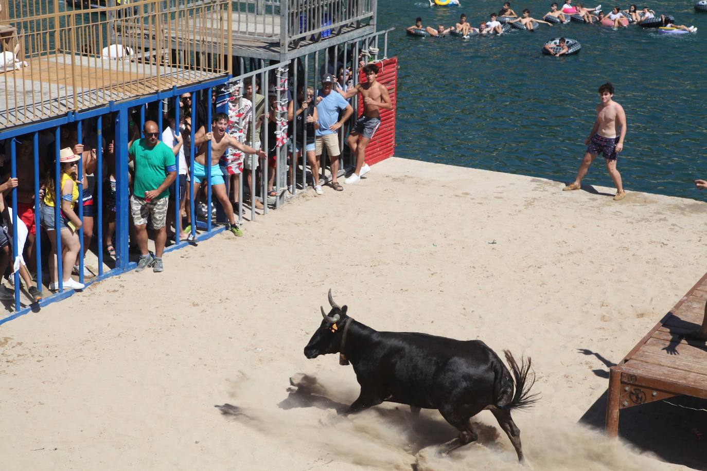 Primer día de Baret y Bous a la Mar en Xàbia