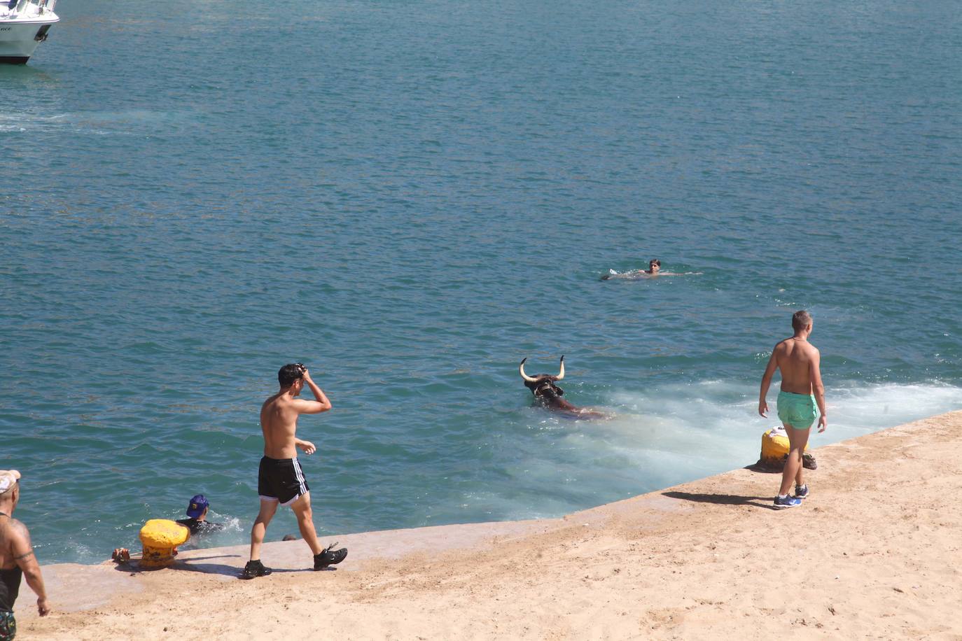 Primer día de Baret y Bous a la Mar en Xàbia