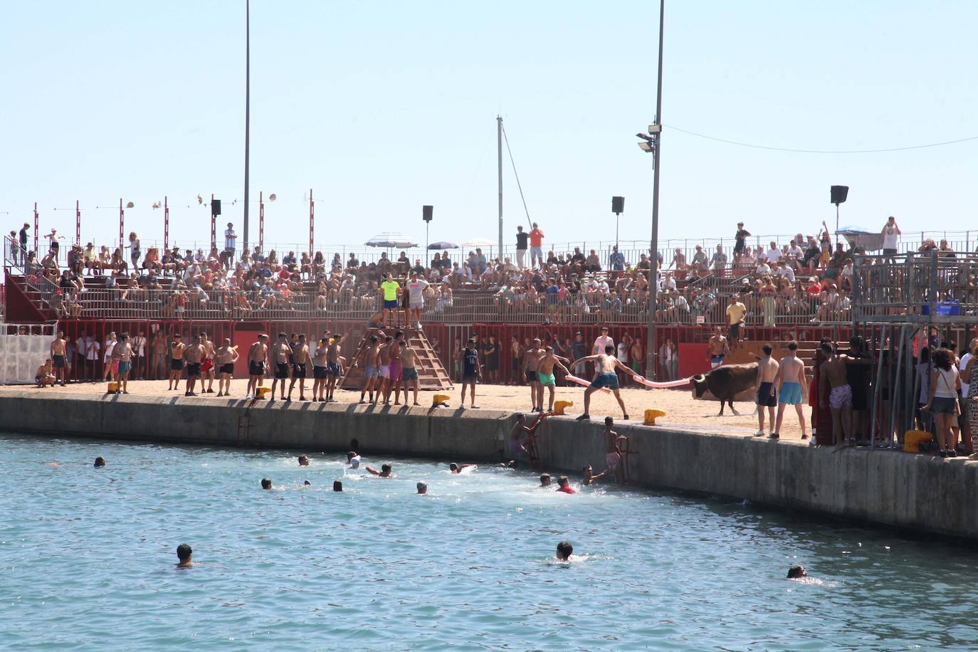 Primer día de Baret y Bous a la Mar en Xàbia